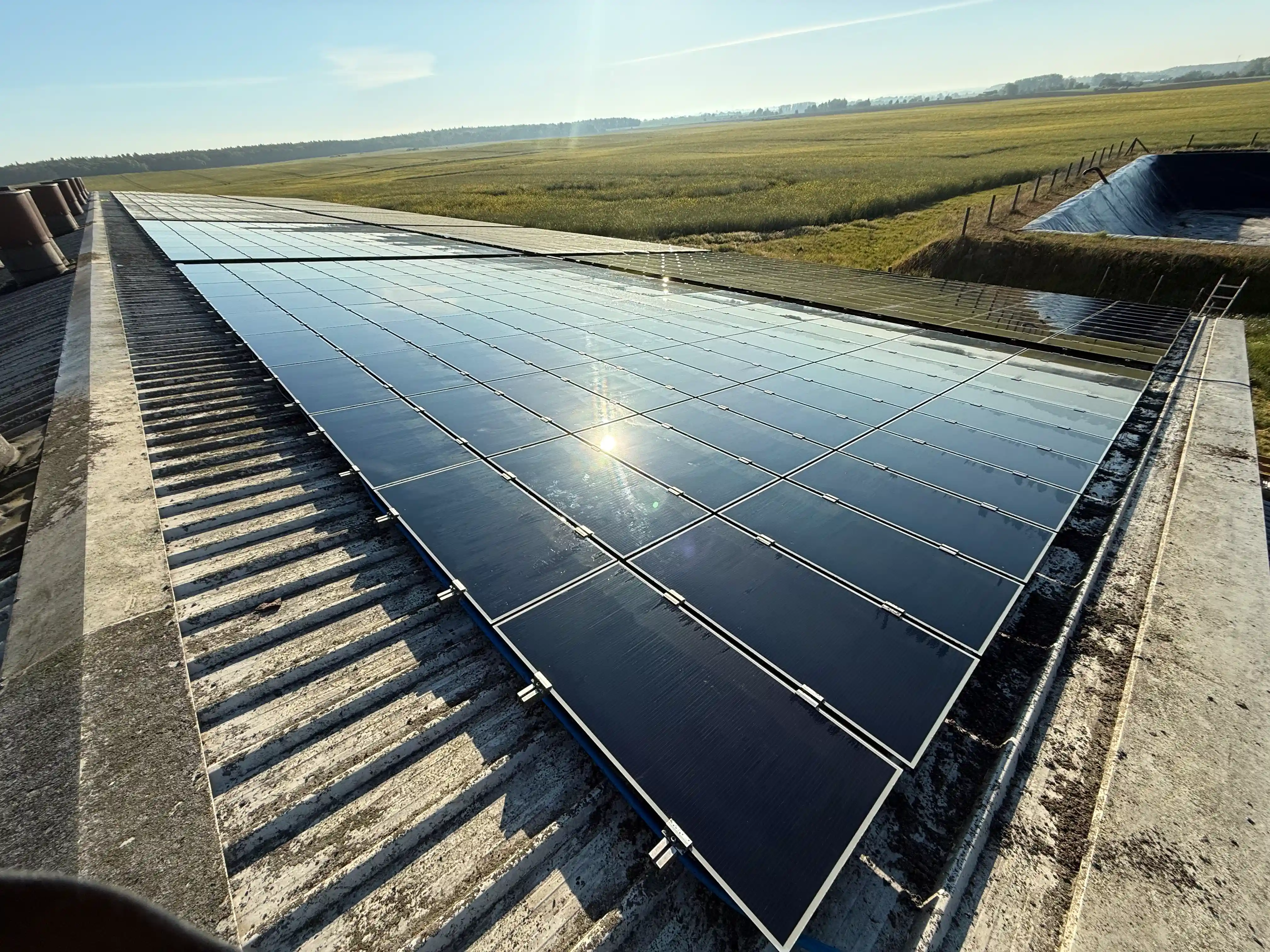 Verschmutzte PV-Module im Bereich Landwirtschaft vor der professionellen Reinigung